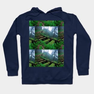 More beautiful Forest trees Hoodie
